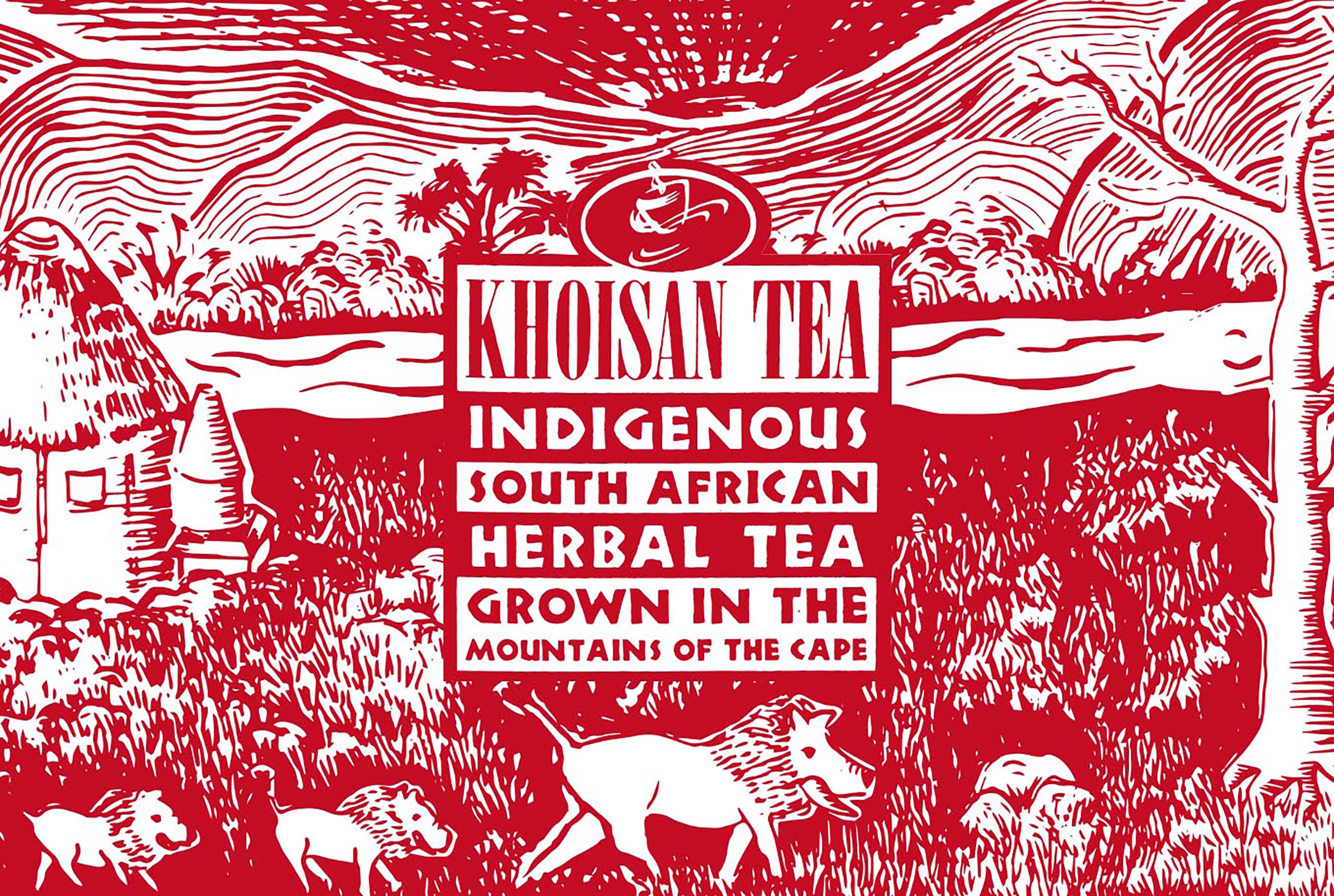 科伊森有機博士茶，喆美文創平面設計/包裝設計，使用紅色寫實構圖手法呈現品牌視覺