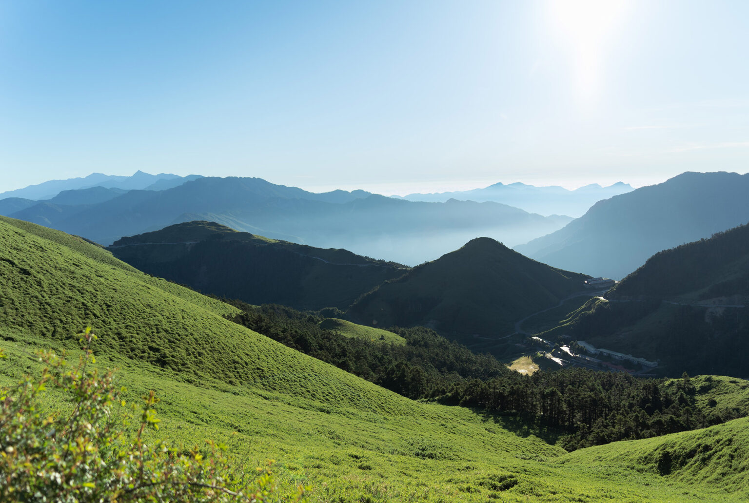 咖啡迷露人/山系咖啡/露營/臺灣精品咖啡/嚴選阿里山咖啡豆/臺灣五大山脈/品牌設計/咖啡包裝設計